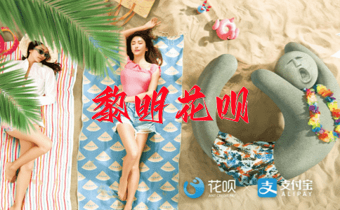 是非颠倒花呗